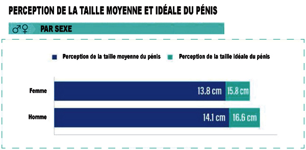 TaillePenis-ParSexe-DrED