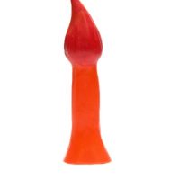 pokemoan-dildos-charmy